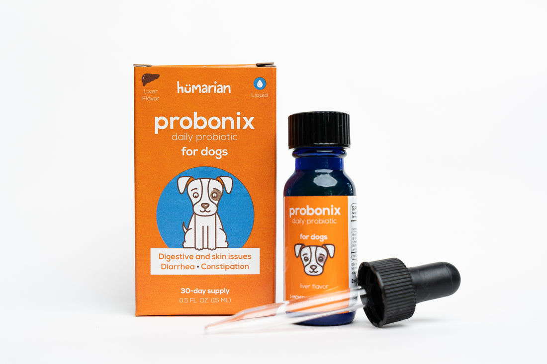 Liquid Probiotic for Dogs - Dog Probonix