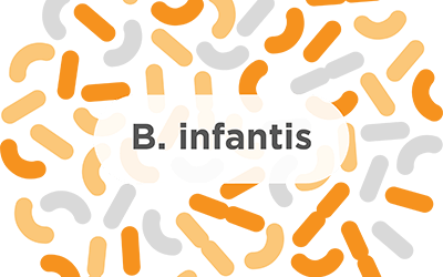 B. infantis – A common probiotic strain