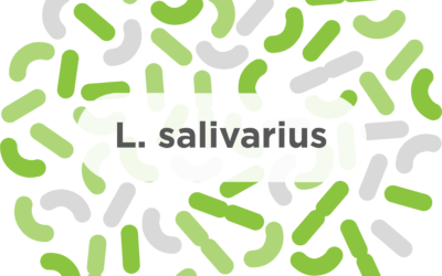 L. salivarius – A common probiotic strain