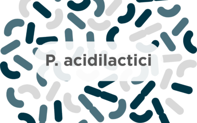 P. acidilactici – A common probiotic strain