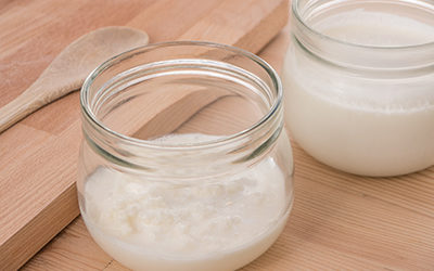 The Milk Test, Yogurt & Probonix