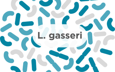 L. gasseri – A Common Probiotic Strain