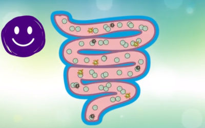 Video Series – Truth #1: Your Body Needs Good Bacteria