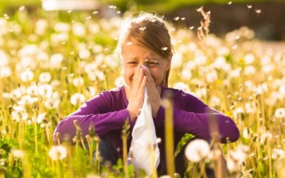 Can Probiotics Help Ease Seasonal Allergies?