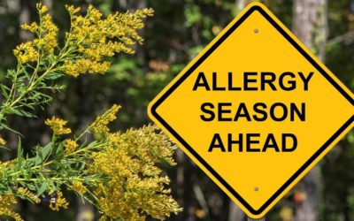 Are Seasonal Allergies Related to Gut Health?